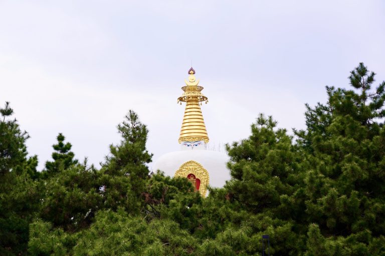 清晨的光与一杯手冲